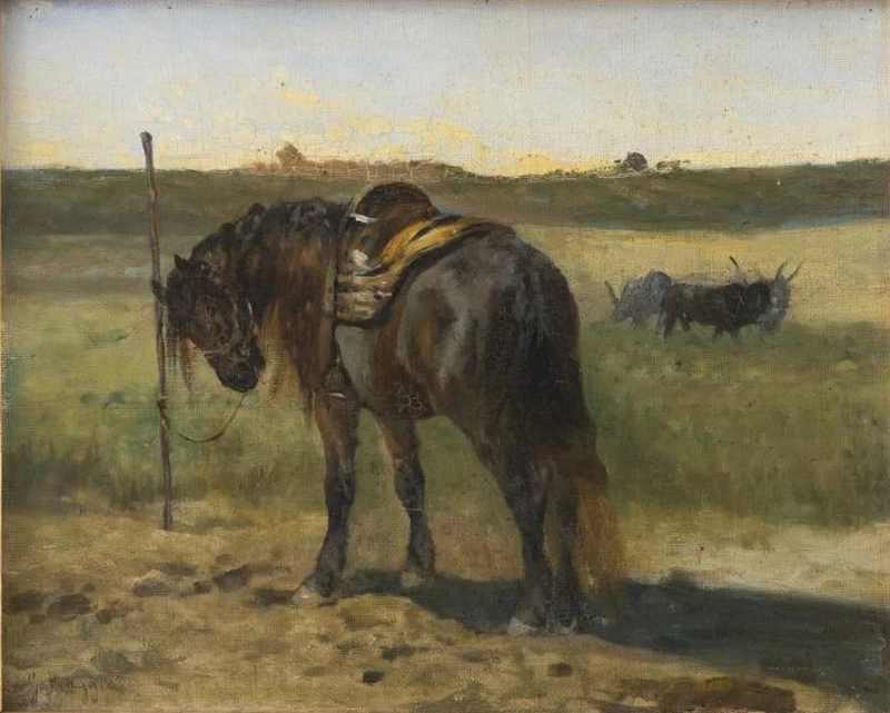 Cavallo in sosta